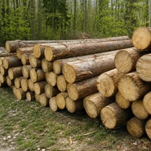 Billons de 1 mètre en chêne, charme et hêtre prêts à refendre